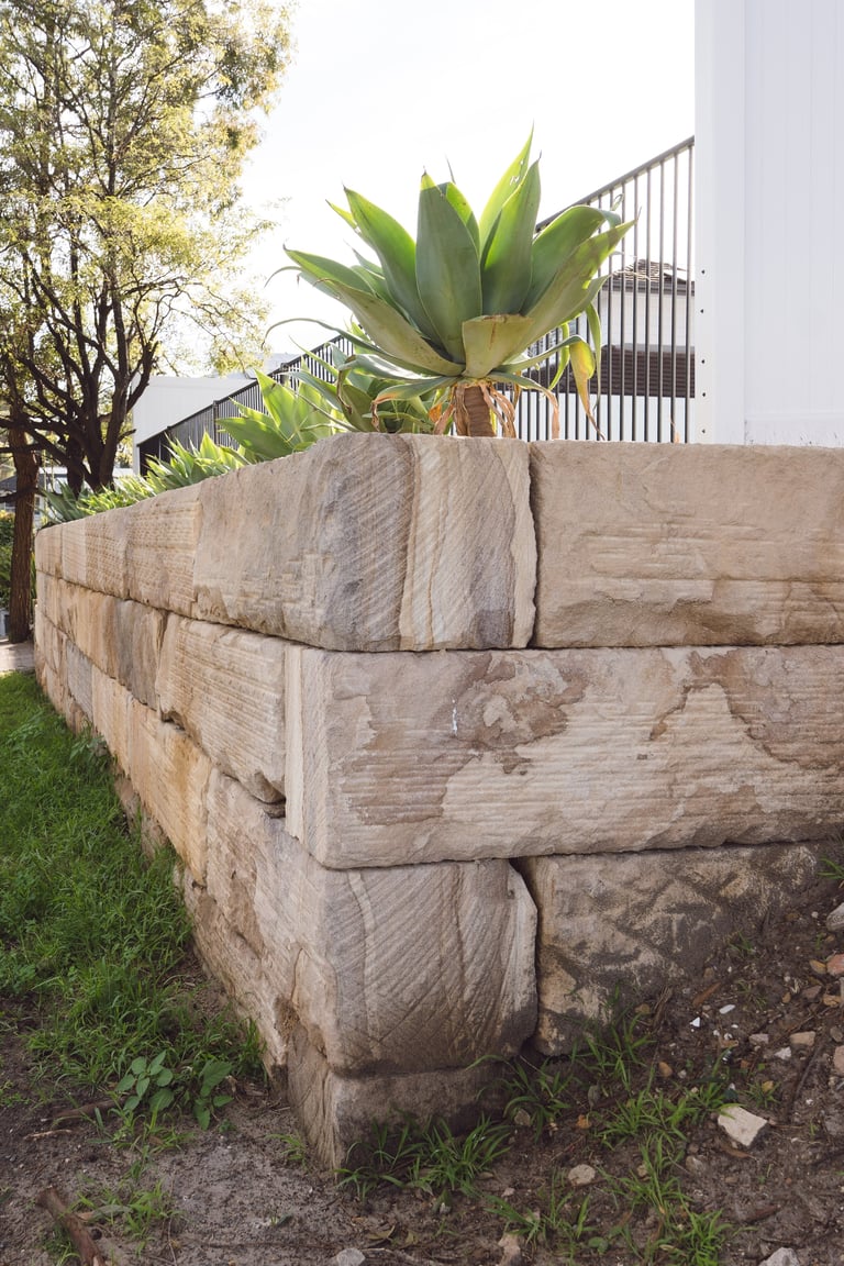 Large agave plant in rustic wooden planter box beside white building and metal railing