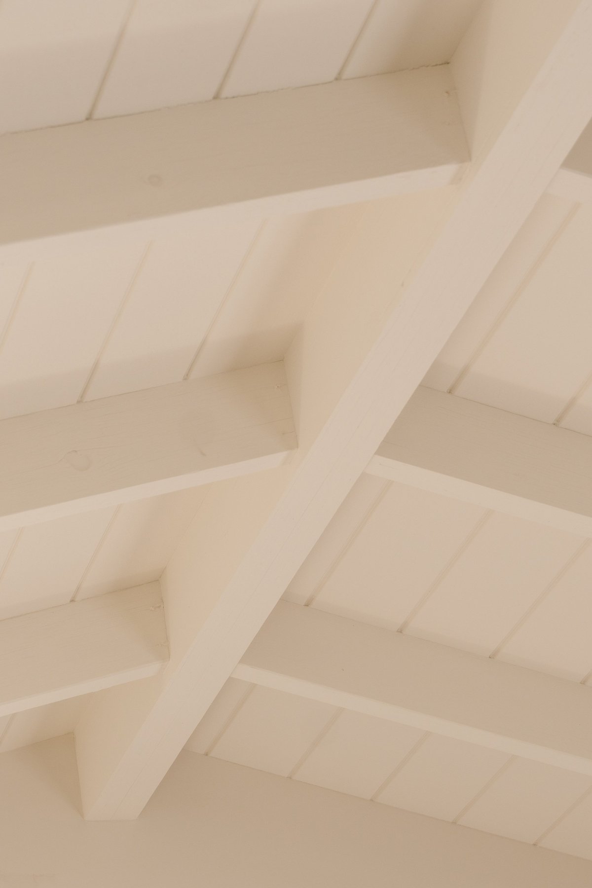 Ceiling details by ACG Built